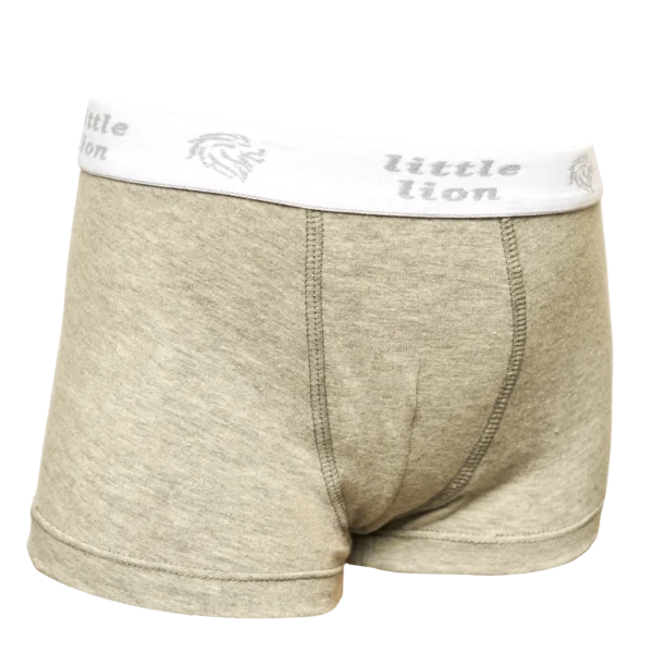Boxer enfant en Cotton Gris