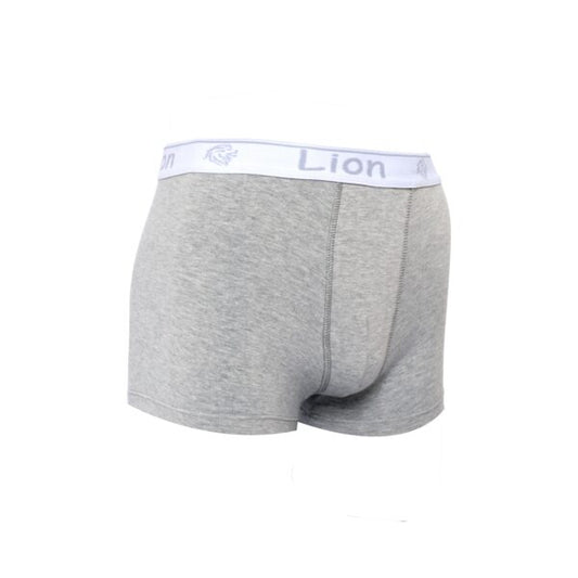 Boxer B10 en Cotton GRIS