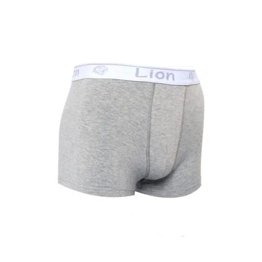 Boxer B10 en Cotton GRIS