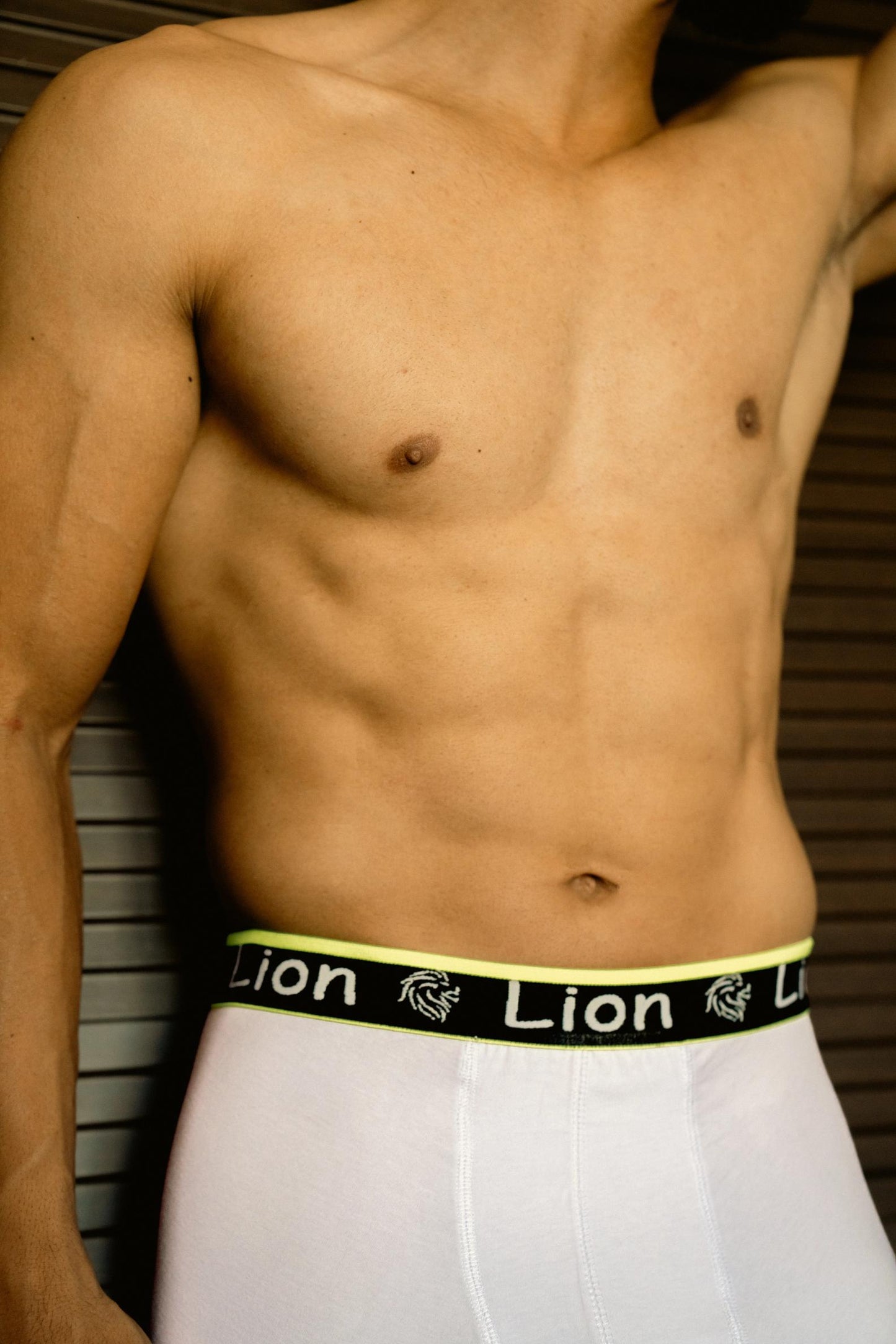 https://lion-underwear.ma/wp-content/uploads/2025/06/li.jpg