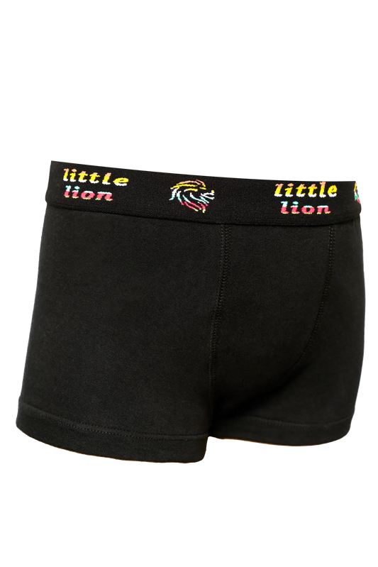 https://lion-underwear.ma/wp-content/uploads/2025/06/lio2-scaled.webp